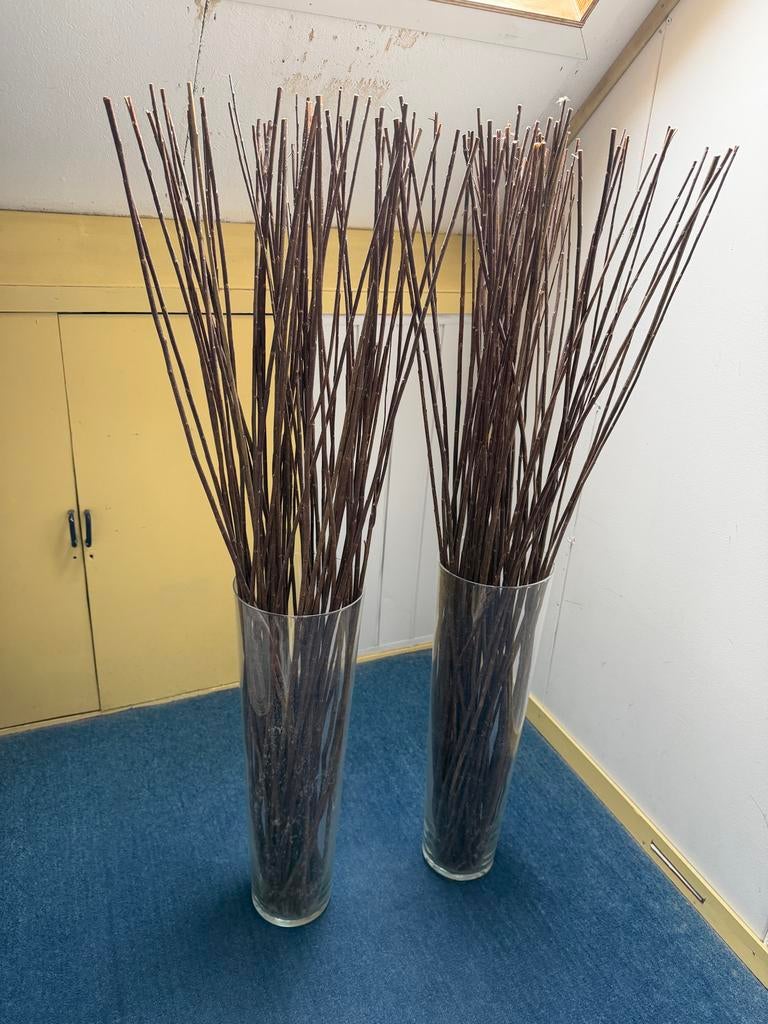 Twee glazen vazen met decoratieve takken, Ophalen, Gebruikt, Overige kleuren, Glas