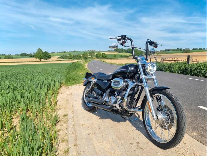 Harley 5hd 1200 c sportster custom apehanger vance hines, Motoren, Motoren | Harley-Davidson, Particulier, Chopper, meer dan 35 kW
