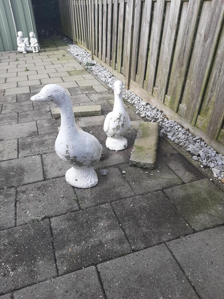 2 Betonnen ganzen, Dieren en Toebehoren, Pluimvee, Meerdere dieren, Gans of Zwaan