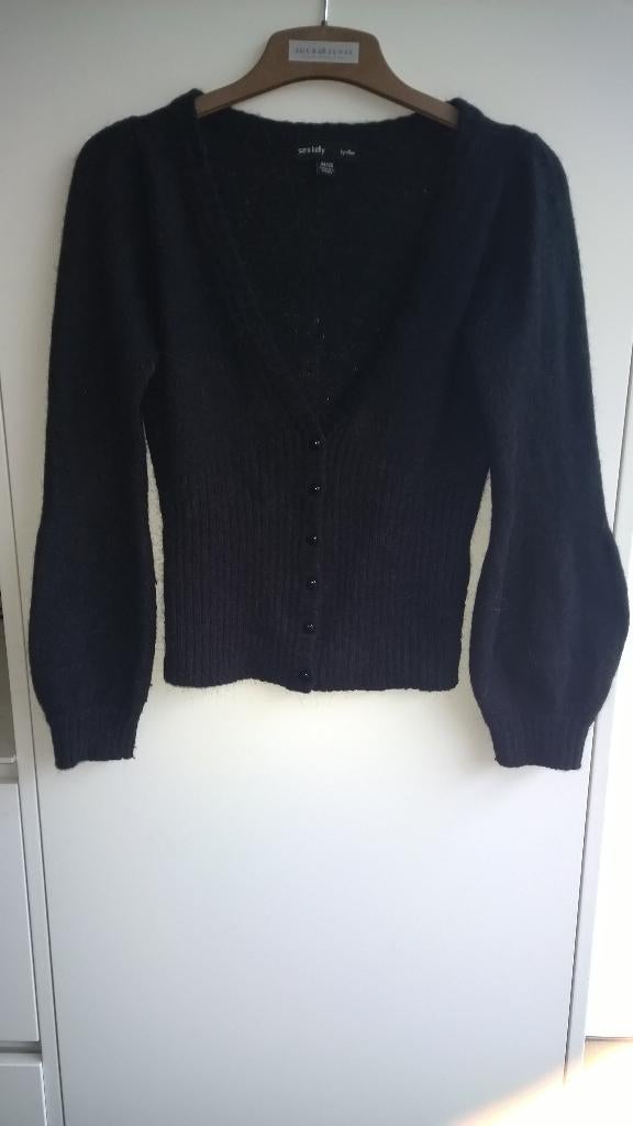 Sara Kelly - gilet, Kleding | Dames, Sara kelly, Ophalen of Verzenden, Maat 34 (XS) of kleiner, Grijs