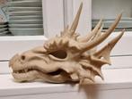 Mooie 3D geprinte draken schedel, Verzenden