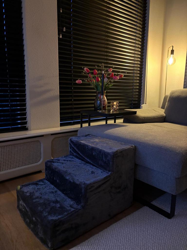 Hondentrapje, Ophalen, Zo goed als nieuw
