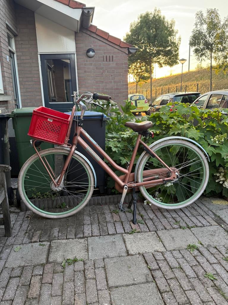 Damesfiets met voordrager en krat - Zo goed als nieuw, 53 tot 56 cm, Versnellingen, Zo goed als nieuw, Schijfrem