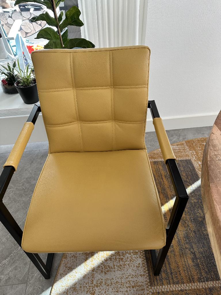6 eetkamerstoelen leer geel/goud, Ophalen, Overige kleuren, Zo goed als nieuw, Modern