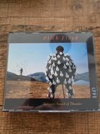 Pink Floyd - Delicate Sound of Thunder, Ophalen of Verzenden, Gebruikt, Progressive