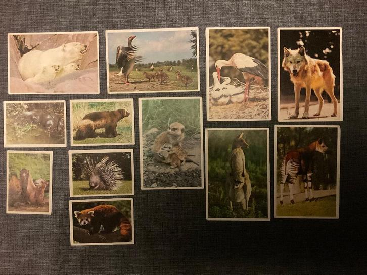 Oude Stickers 04 ESSO, Verzamelen, Stickers, Zo goed als nieuw, Dier en Natuur, Ophalen