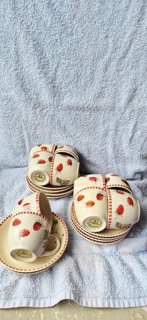 Jet Ter Steege Aardbeienmotief Kopjes met Schotels, Gebruikt, Ophalen of Verzenden, Overige stijlen, Kop(pen) en/of Schotel(s)