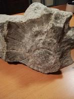 Fossiel, Ophalen, Fossiel