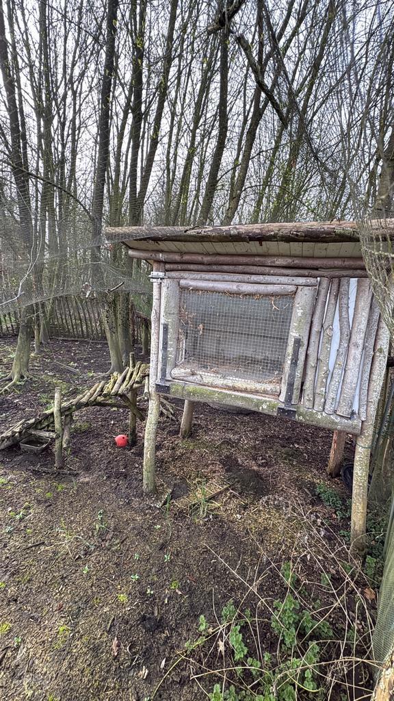 Kippenhok van hout; gratis ophalen, Dieren en Toebehoren, Pluimvee | Toebehoren, Gebruikt, Kippenhok of Kippenren, Ophalen