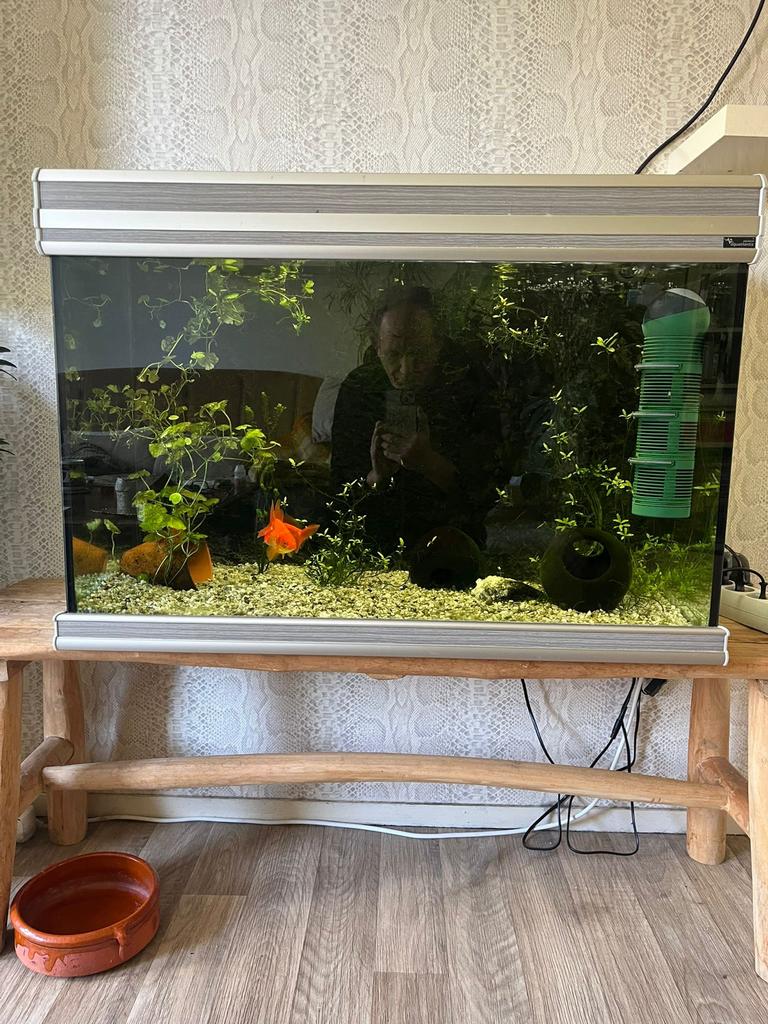 Aquarium, pomp, ‘belletjes’ en twee visjes (1 jaar oud), Dieren en Toebehoren, Vissen | Aquaria en Toebehoren, Ophalen, Aquatlantis