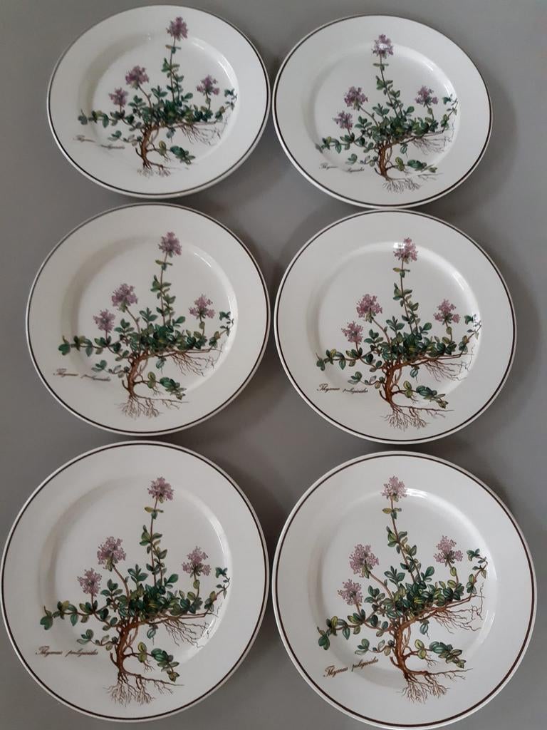 Ontbijtborden Villeroy en Boch Botanica, 4 beschikbaar, Gebruikt, Ophalen of Verzenden, Bord(en), Overige stijlen