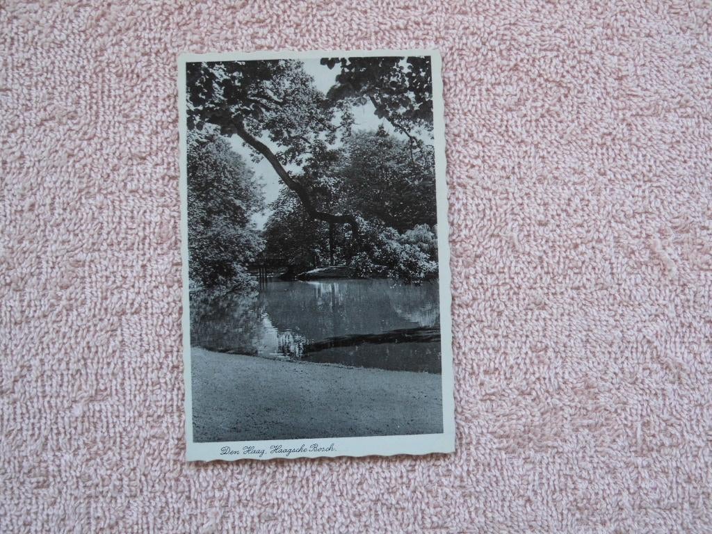 Den Haag , Haagsche Bosch., Ophalen of Verzenden, 1920 tot 1940, Ongelopen, Zuid-Holland