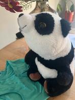 Dryly zindelijkheidstraining set, Ophalen of Verzenden, Gebruikt