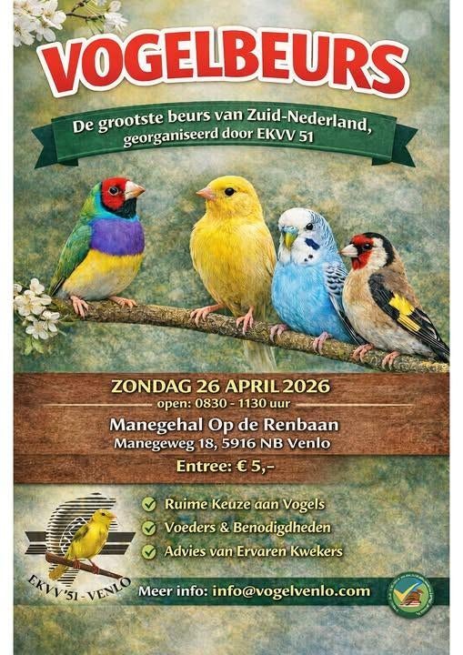 Grootste Vogelbeurs van Zuid Nederland, Dieren en Toebehoren, Meerdere dieren, Parkiet
