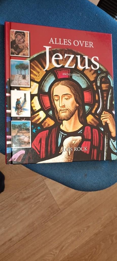 Rock, Lois - Alles over Jezus, Ophalen of Verzenden, Gelezen, Rock, Lois, Christendom | Protestants