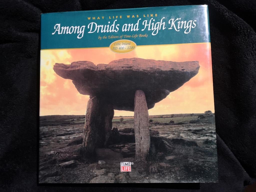 Stacey Chapman, Among Druids and High Kings, Boeken, Geschiedenis | Wereld, Ophalen of Verzenden, Zo goed als nieuw