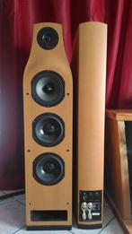 GEZOCHT - Focal, CANTON, THIEL, Elac, Sonus Faber, infinity, Audio, Tv en Foto, Luidsprekers, Zo goed als nieuw, 120 watt of meer