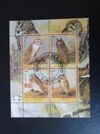 Postzegel Vogel: Vel met 4 verschillende Uilen uit Djibouti, Ophalen of Verzenden, Gestempeld, Dier of Natuur