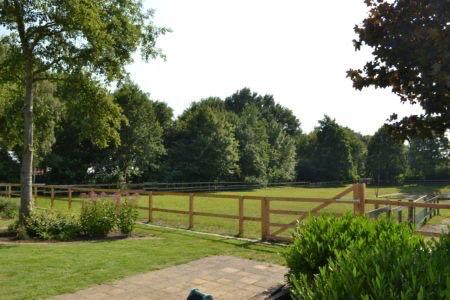 Gezocht! Kleinschalige stal voor merrie, Weidegang, 1 paard of pony