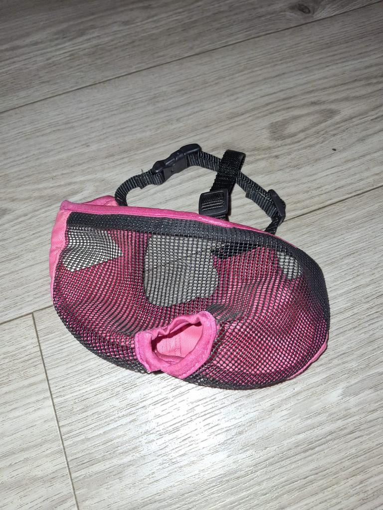 Muilkorf franse bulldog, Dieren en Toebehoren, Ophalen of Verzenden, Nieuw