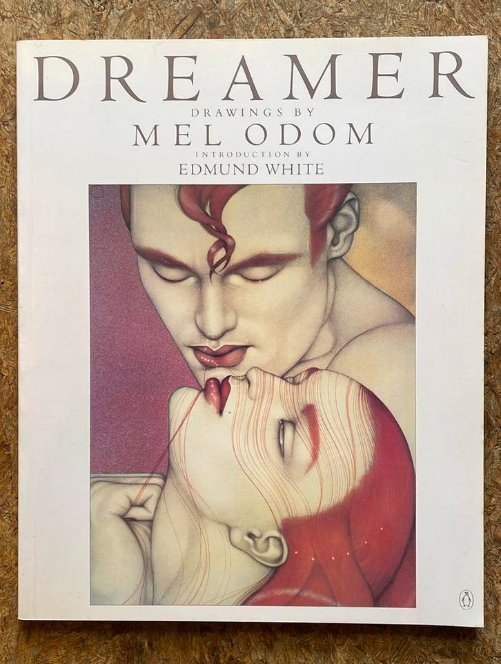 Dreamer Mel Odom avant-garde 1984, Boeken, Kunst en Cultuur | Beeldend, Zo goed als nieuw, Ophalen of Verzenden