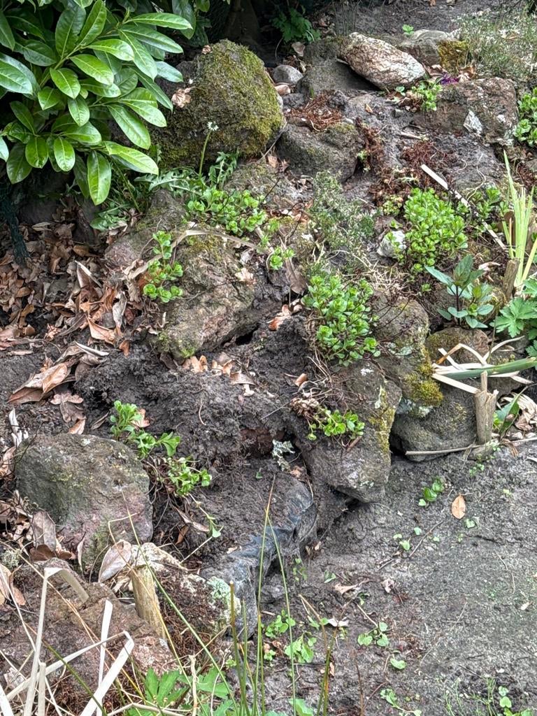 Lavastenen, Ophalen, Gebruikt, Bruin, Overige typen