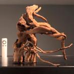 Mooi stuk Spiderwood / Driftwood / Kienhout, Hout Decoratie, Ophalen of Verzenden, Plant(en), Steen of Hout