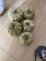 14 decoratie pompoenen - wit en groen gestreept, Ophalen, Zo goed als nieuw