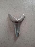 Te koop fossiele haaientand 3,5 bij 3 centimeter, Ophalen of Verzenden, Fossiel