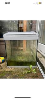 Aquarium, Ophalen of Verzenden, Zo goed als nieuw, Leeg aquarium