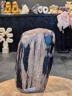 Versteend hout, Ophalen of Verzenden