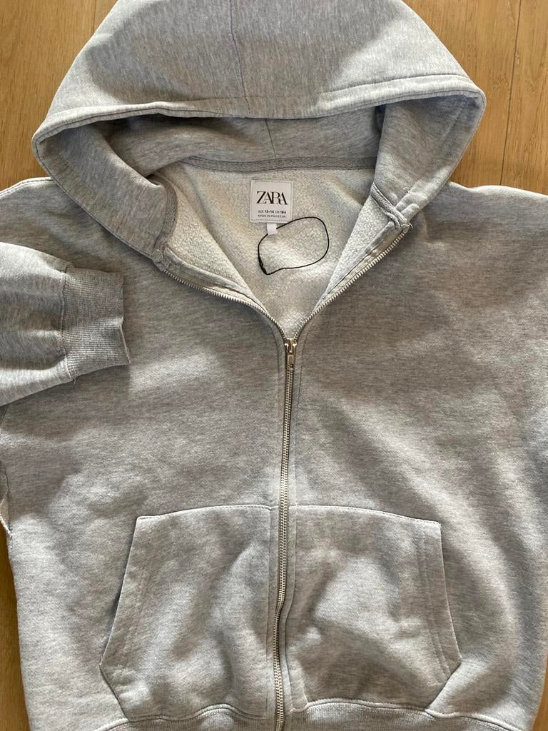 Zara Hoodie Grijs met Rits - Maat M, Kleding | Dames, Ophalen of Verzenden, Zo goed als nieuw, Maat 38/40 (M), Grijs