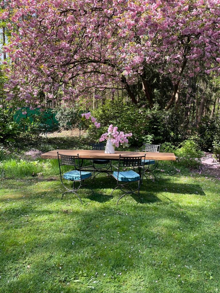 Zeer mooi tuinset/eettafel, Ophalen of Verzenden, Zo goed als nieuw