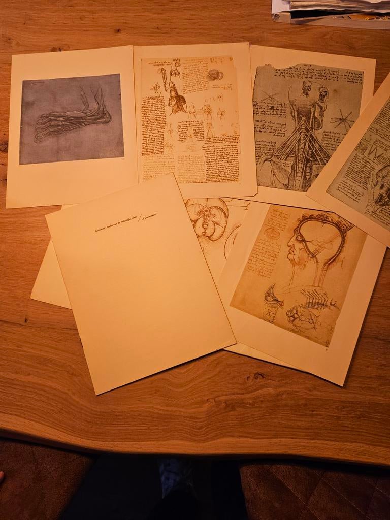 Leonardo da vinci beeld van de natuurlijke mens, Ophalen of Verzenden
