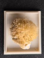 Leuk stukje met natrolietnaalden, Ophalen of Verzenden