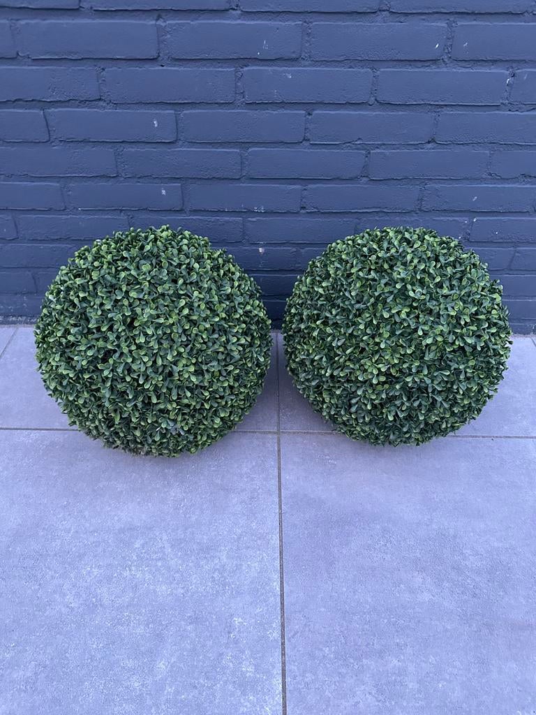 Te koop kunst Buxus bollen 2 stuks!, Ophalen, Zo goed als nieuw
