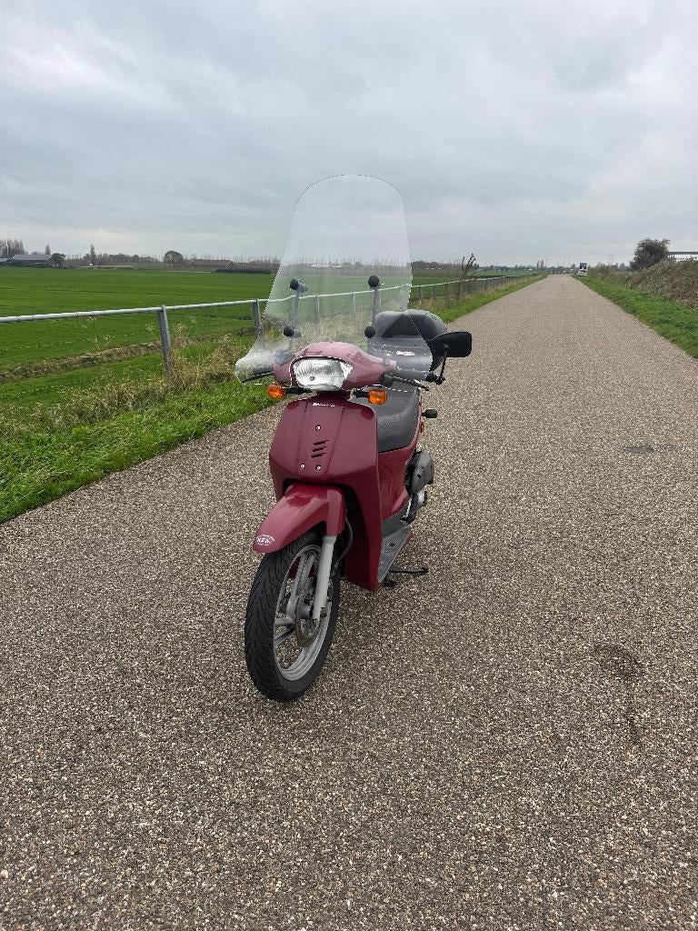 Honda Scoopy bromScooter, Fietsen en Brommers, Brommers | Honda, Ophalen, Overige modellen, Maximaal 45 km/u, Zo goed als nieuw