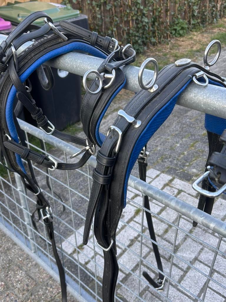 2 span ideal tuig mini Shetlander, Dieren en Toebehoren, Ophalen of Verzenden, Zo goed als nieuw, Overige soorten