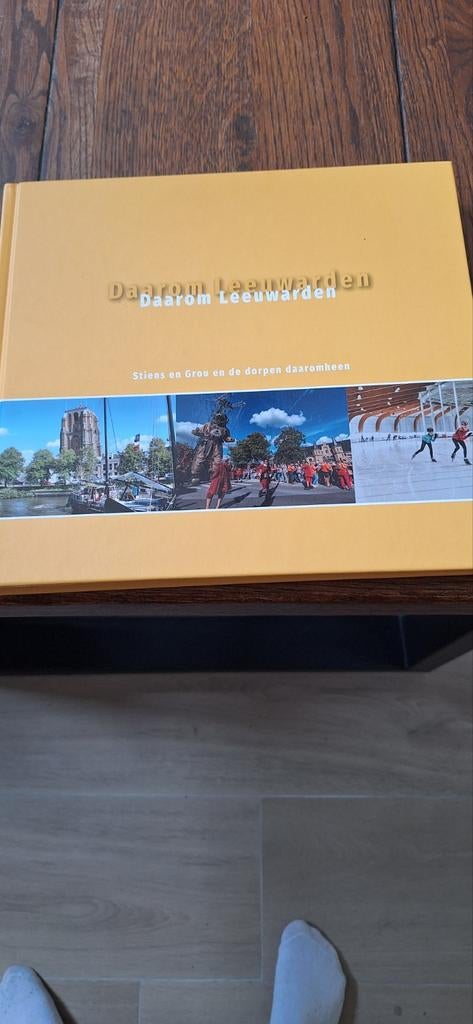Boek: Daarom Leeuwarden, Boeken, Geschiedenis | Stad en Regio, Ophalen of Verzenden