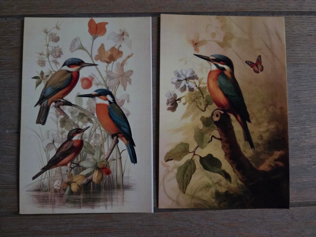 VOGELS 7, Ophalen, 1980 tot heden, Vogel