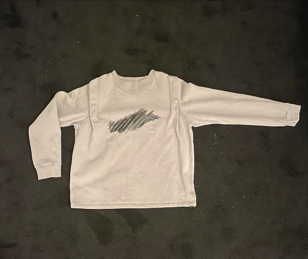 Nukus Grijze Trui Maat M, Kleding | Dames, Truien en Vesten, Ophalen of Verzenden, Gedragen, Maat 38/40 (M), Grijs