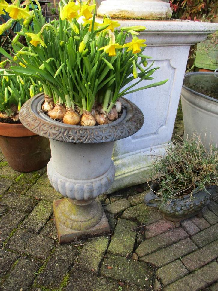 Gietijzeren Tuinvaas/Jadiniere, Tuin en Terras, Tuinvazen, Gebruikt, Ophalen