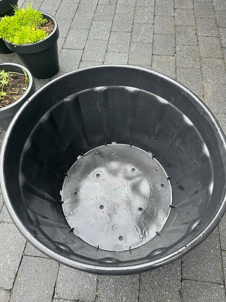 Boomkuip 230 liter 80cm doorsnee, Kunststof, Gebruikt, 100 cm of meer, Rond