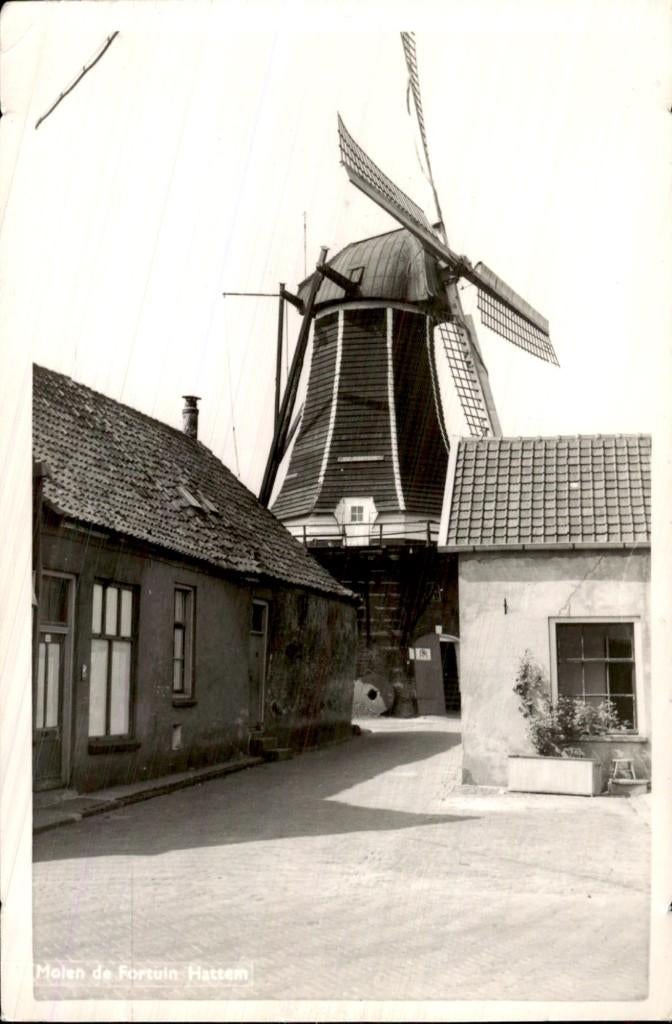 Hattem - Molen - De Fortuin, Ophalen of Verzenden, 1940 tot 1960, Ongelopen, Gelderland