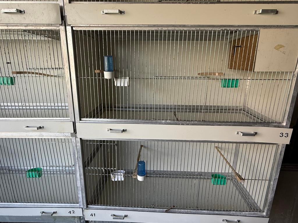 2 kweekkooien Trespa aluminium compleet met nestblokken, Dieren en Toebehoren, Vogels | Hokken en Kooien, Ophalen, Zo goed als nieuw