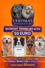 Retrievers/border collie enz. Blow out trimbeurt actie, Ophalen