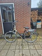 Batavus Weekend Damesfiets, Ophalen, Versnellingen, Batavus, 53 tot 56 cm