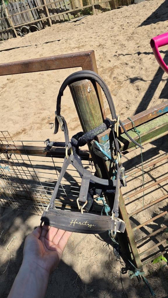 Eskadron halster pony, Ophalen of Verzenden, Overige soorten