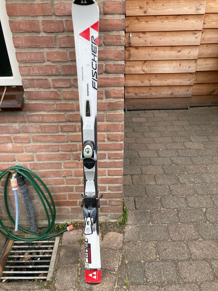 Fischer ski's 150 cm, 140 tot 160 cm, Ophalen of Verzenden, Skiën, Ski's