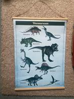 Dinosaurus poster tweezijdig, Kinderen en Baby's, Kinderkamer | Inrichting en Decoratie, Ophalen, Zo goed als nieuw, Wanddecoratie